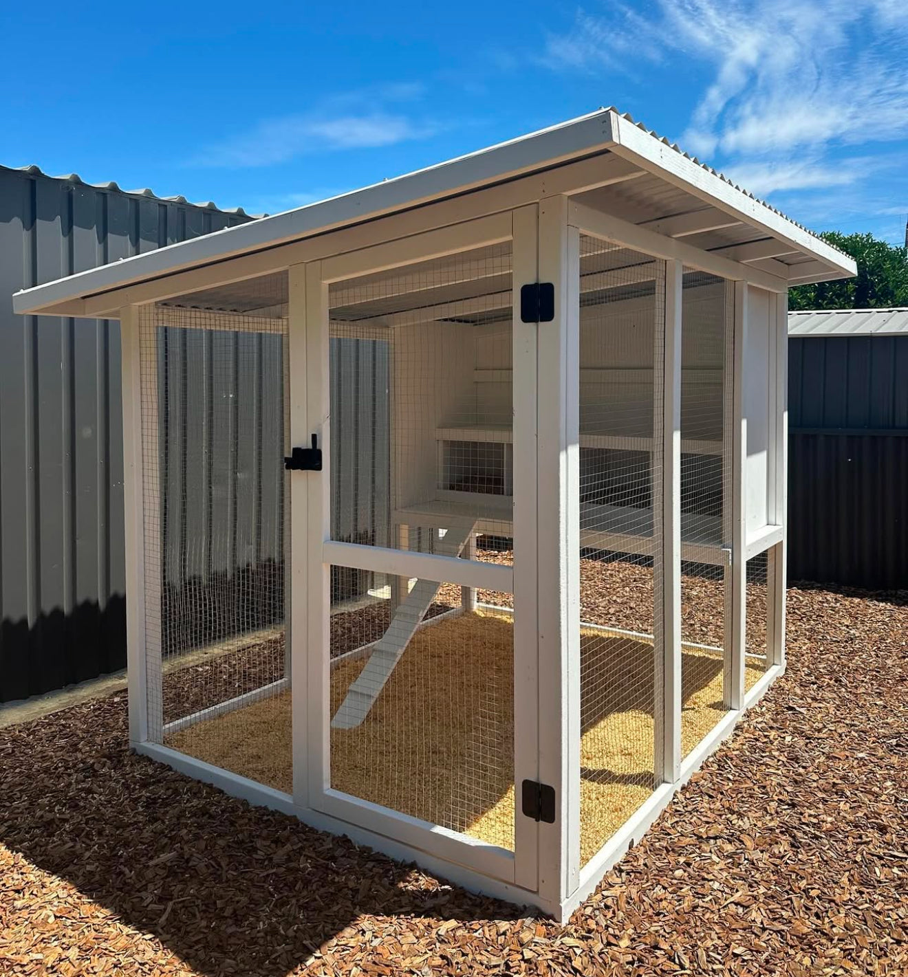 Chicken Coop